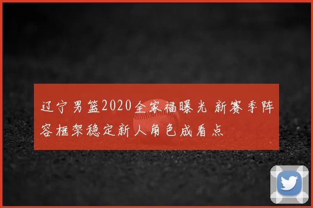 辽宁男篮2020全家福曝光 新赛季阵容框架稳定新人角色成看点